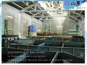 搅拌器-北京矿冶研究总院在江苏镇江项目现场